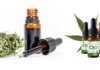 ANNABIOL CBD - prix, demande, commentaires sur le forum. Comment commander sur le site du Fabricant?